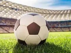 库利巴利染,红退场,奥克兰,宝威体育官方,宝威体育在线官网,宝威体育线上,宝威体育APP